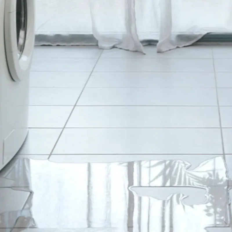 Appliance Leak Cleanup in Brunswick County, VA