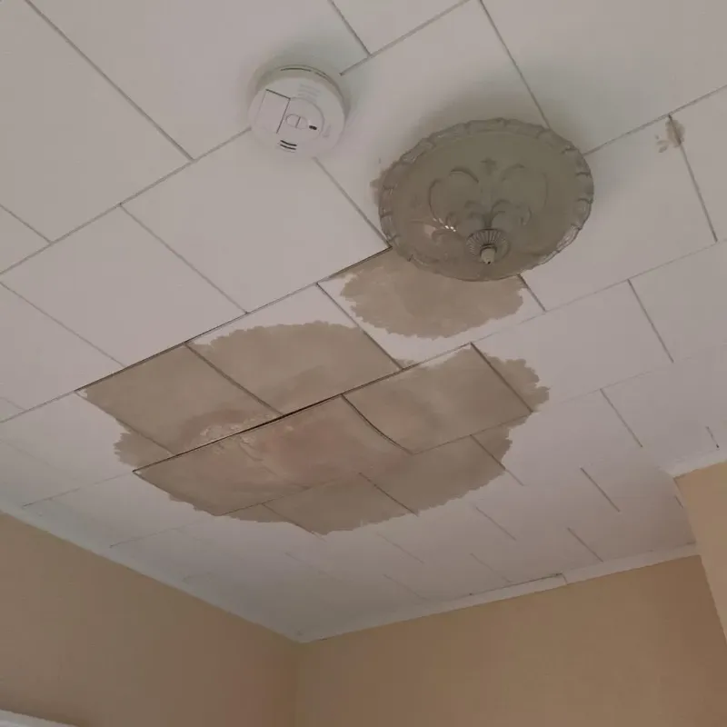 Ceiling Water Damage Repair in Brunswick County, VA