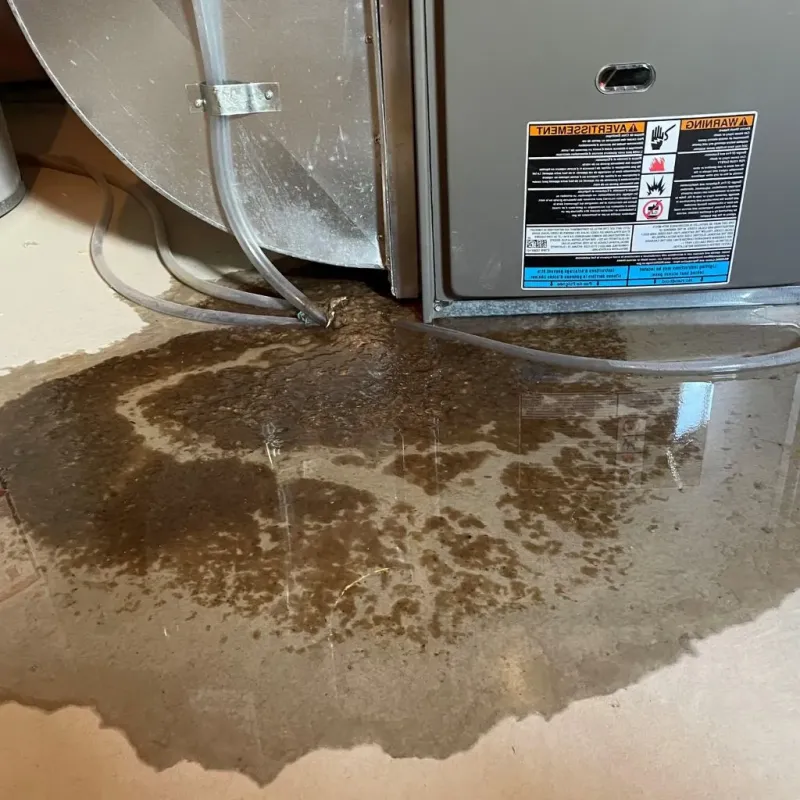 Pipe Burst and Leak Restoration in Brunswick County, VA