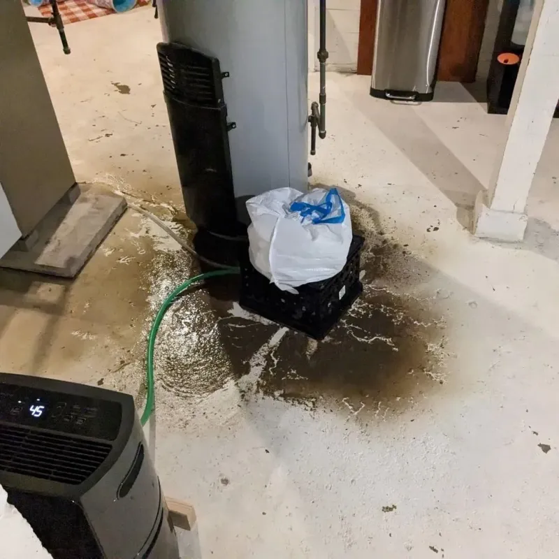 Sewage Backup Cleanup Service in Brunswick County, VA
